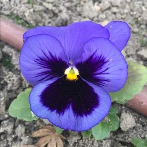 Meet your Posher, Karin